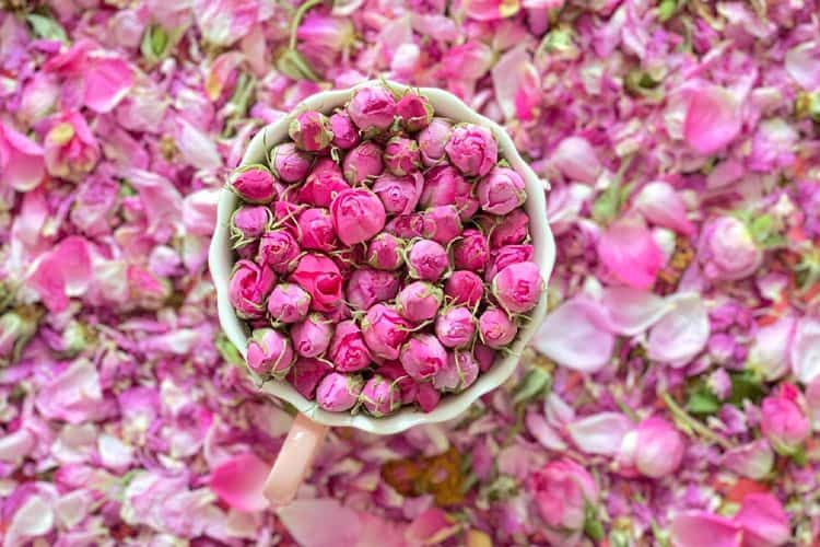 تصویر 1 از خرید و فروش گلاب صادراتی با شرایط فوق العاده